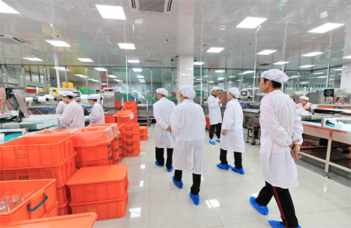 东莞市卫生局领导莅临快猫官网入口餐洁参观指导！